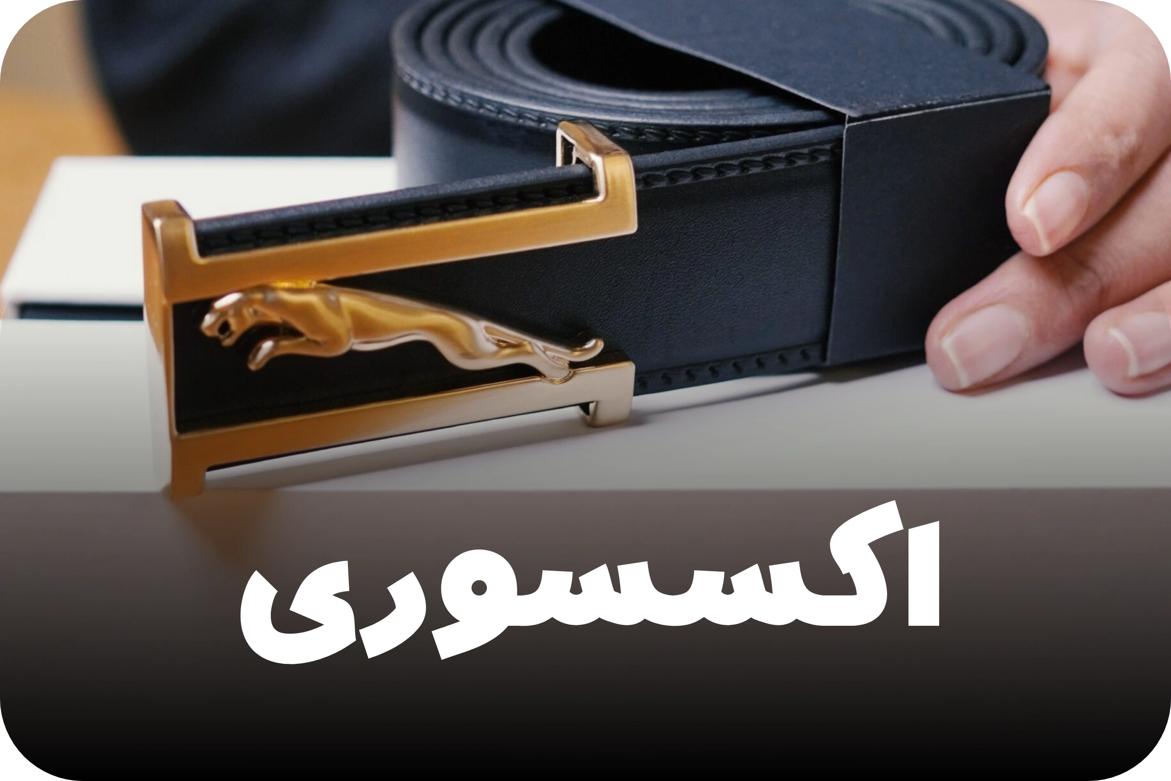اکسسوری